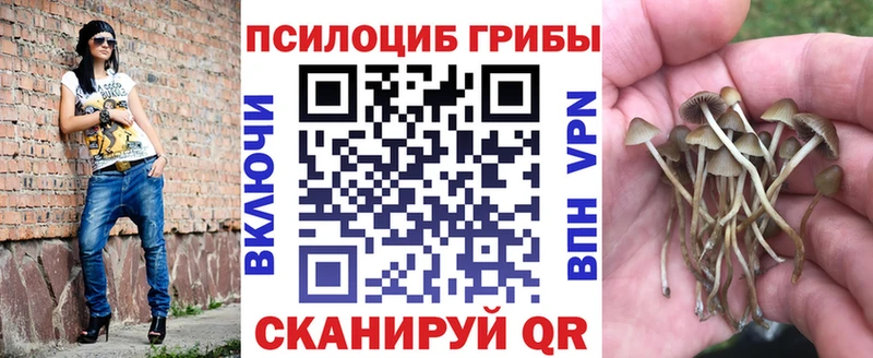 даркнет сайт  Армавир  Псилоцибиновые грибы прущие грибы 